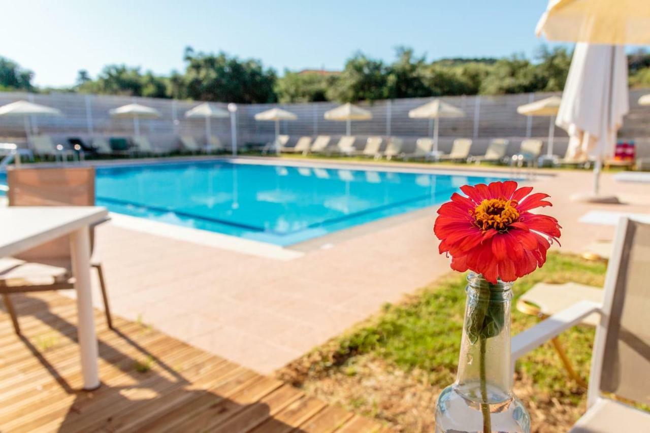 Charming And Comfy House Appartement Agia Marina Buitenkant foto